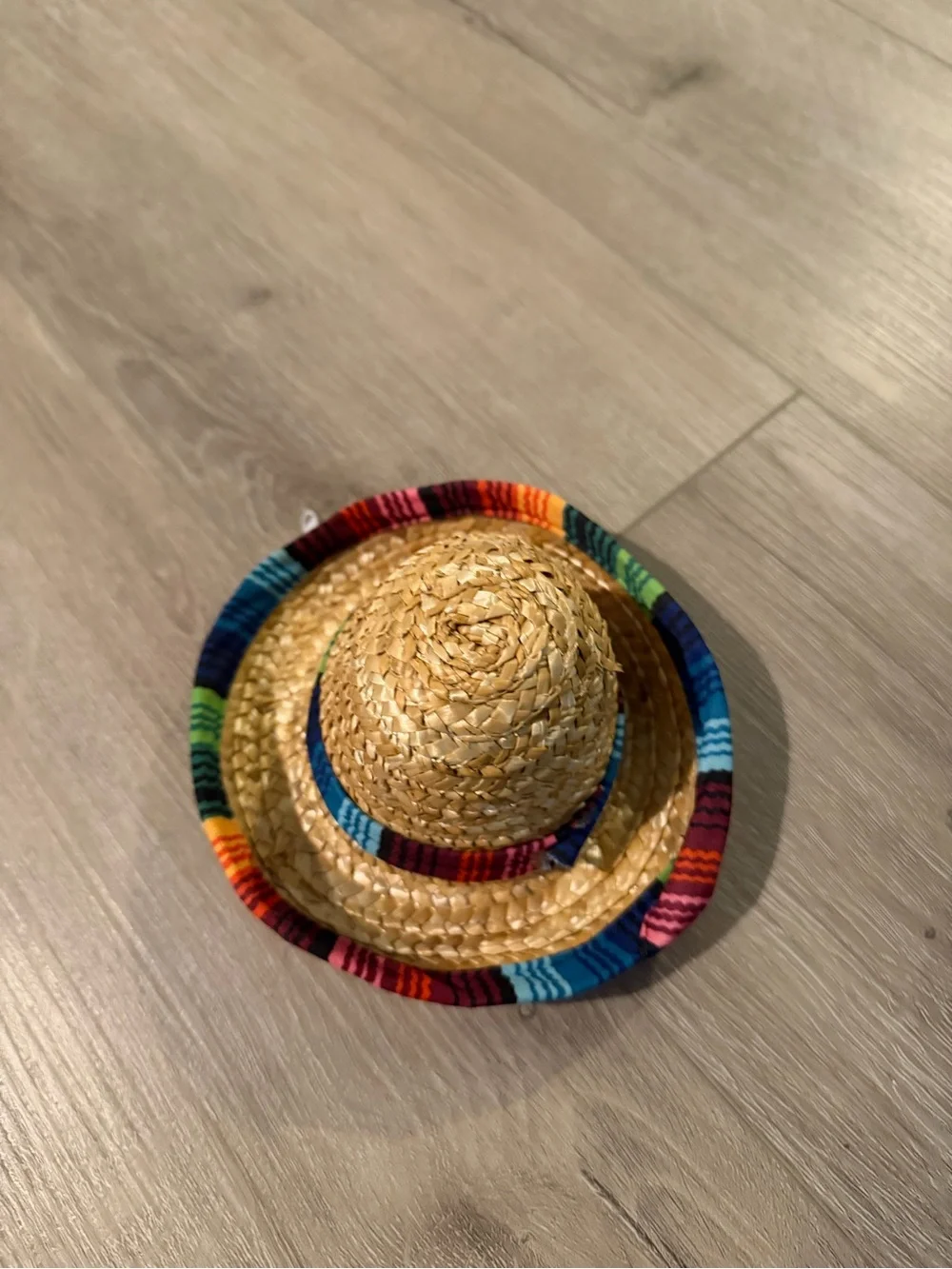 League Dog Sombrero Hat - Like New Excellent Condition